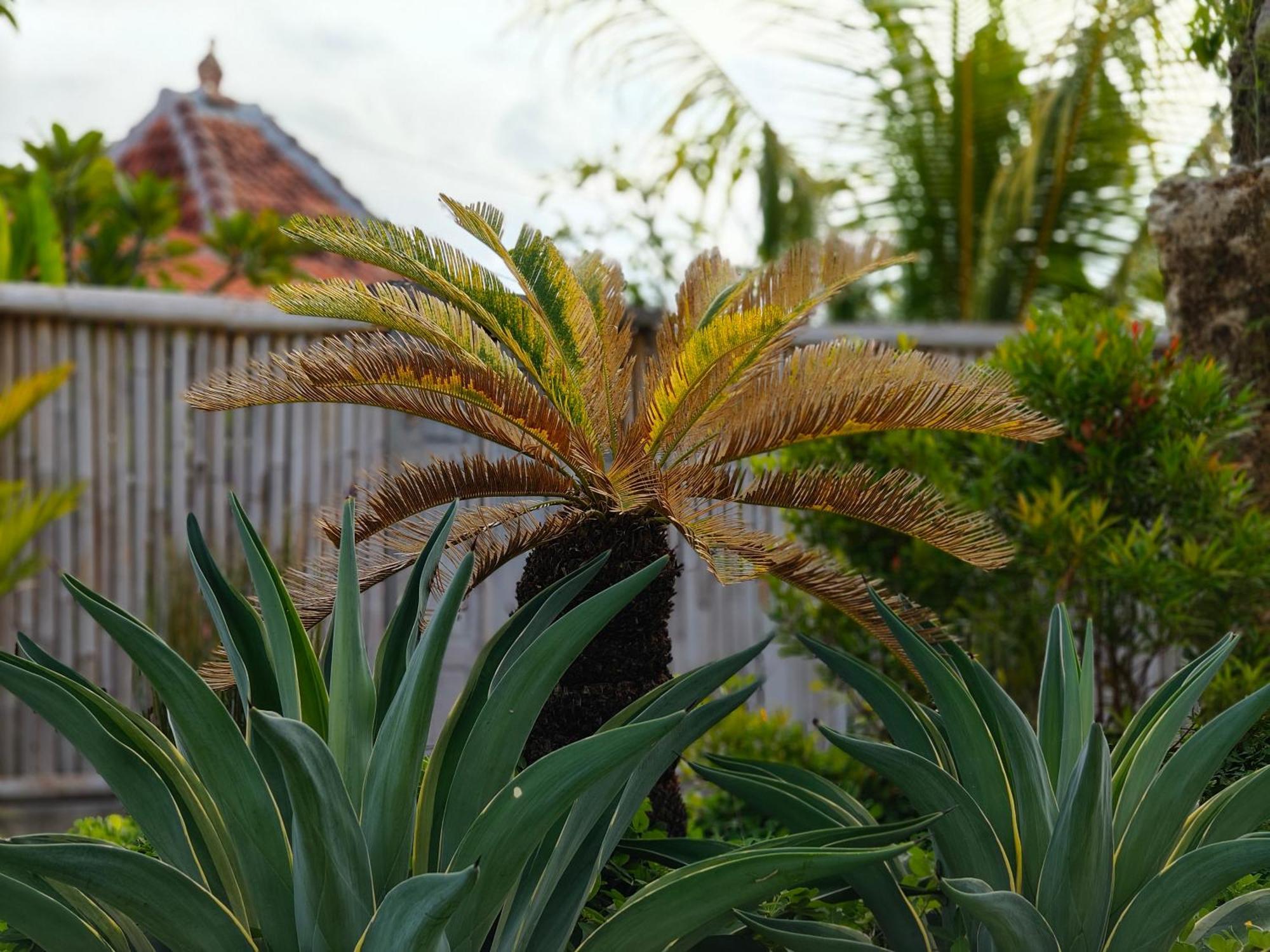 Alam Cottage Uluwatu Экстерьер фото